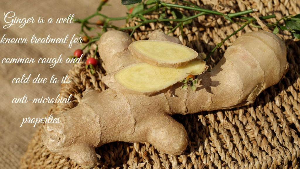 7 Foods That Help You Boost Your Immune System Felicity Plus